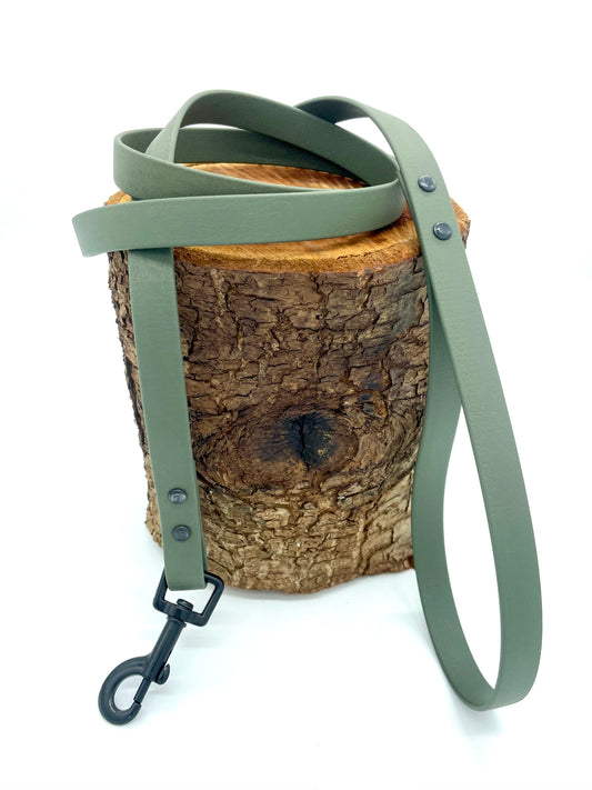 BioThane® Leine „Classic“ - in Olive